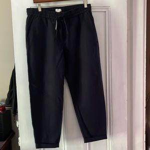 Brand new J Crew linen pants